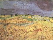 Vincent Van Gogh The Fields (nn04) Spain oil painting artist